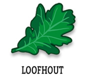 Loofhout